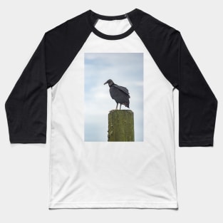 Turkey Vulture of Calabash Baseball T-Shirt